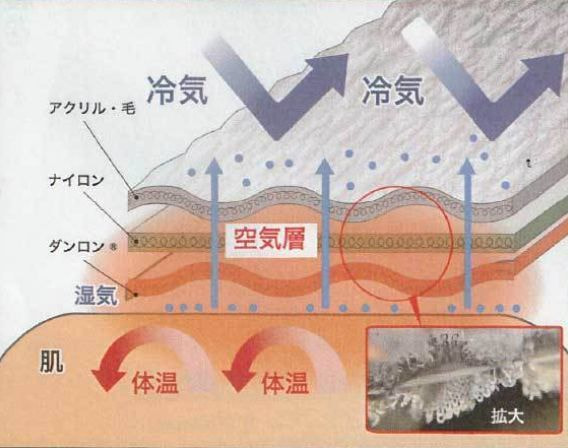 東洋紡サピウム採用の抗菌防臭機能：繊維上の細菌増殖を抑え、毎日清潔に着られる肌着｜ひだまり正規販売店キクチシングのおすすめ機能